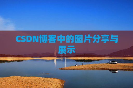 CSDN博客中的图片分享与展示